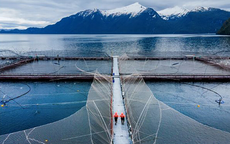 A Cooke Aquaculture farm in Chile