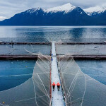 A Cooke Aquaculture farm in Chile