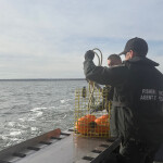 Canada Department of Fisheries and Oceans officers training fishermen on using whale-safe gear