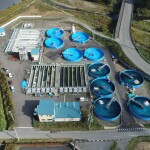 An aerial view of the "Nissui Kesengawa Fish Farm"