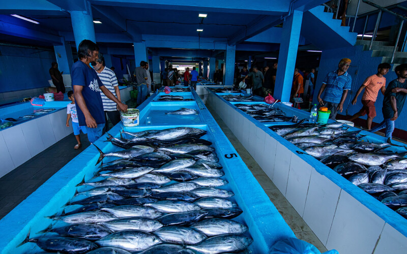 A fish market in the Maldives