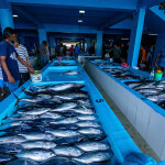 A fish market in the Maldives