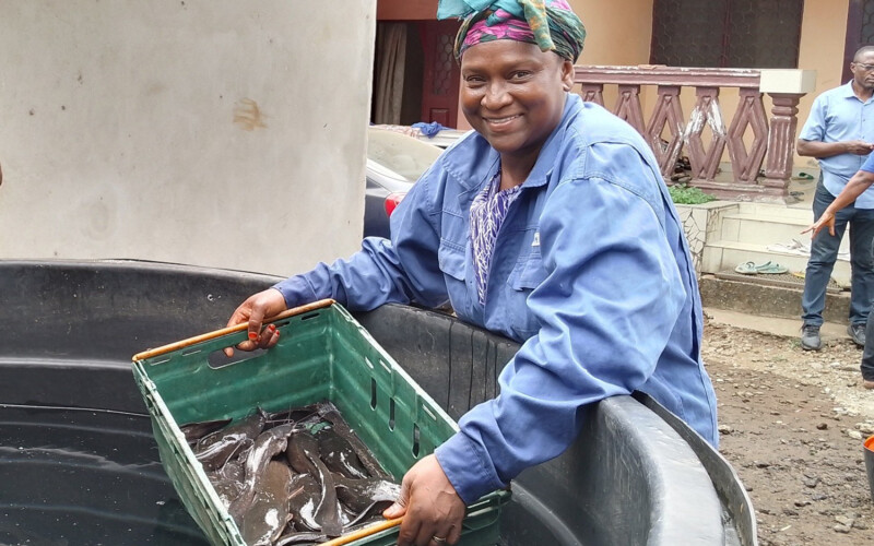 A Cameroonian catfish farmer
