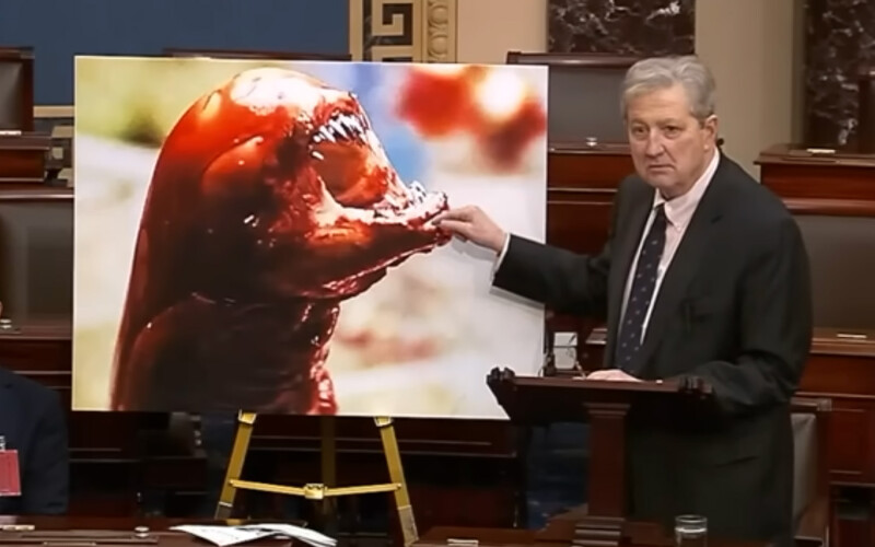 U.S. Senator John Kennedy