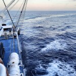 A tuna vessel at sea