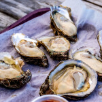 Oysters from Apalachicola Bay
