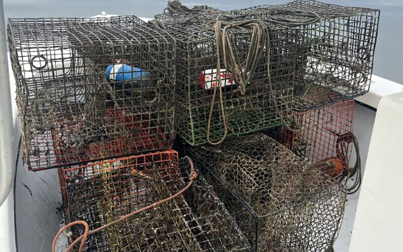 Crab pots collected from North Carolina’s inland waters