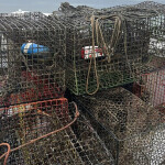Crab pots collected from North Carolina’s inland waters