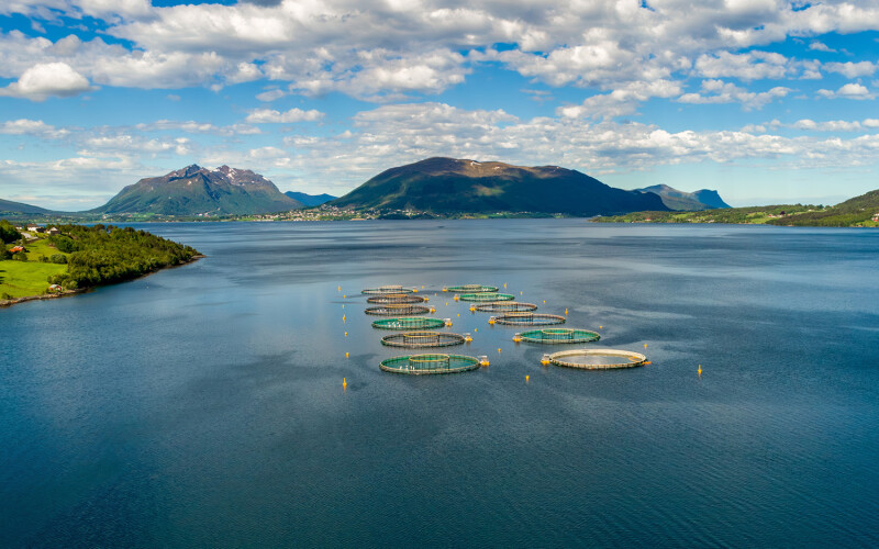 Norwegian salmon farm