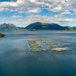 Norwegian salmon farm