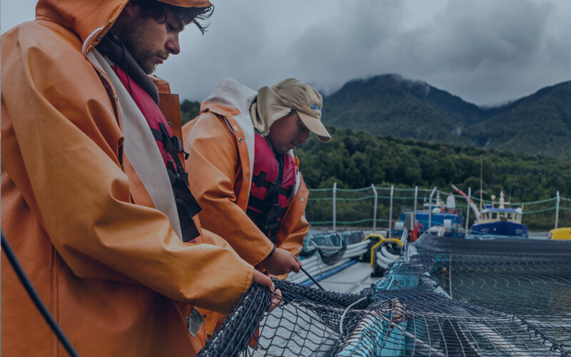 Salmones Camanchaca employees working on one of the firm's net pens