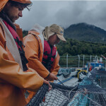 Salmones Camanchaca employees working on one of the firm's net pens