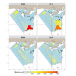 A graphic depicting the geographic location of cod catch in the 3Ps