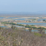 A view of an Ecuadorian shrimp farm from the top of a hill