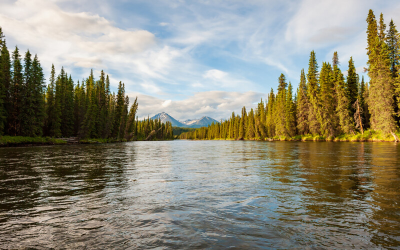 The Lower Stikine River