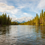 The Lower Stikine River
