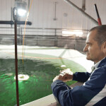 Atlantic Sapphire CEO Pedro Courard looking at one of the company's