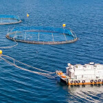 A Måsøval salmon farm