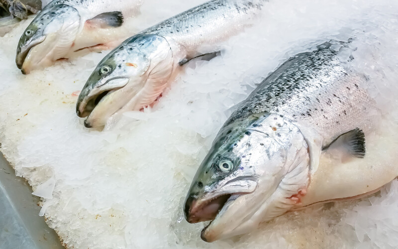 Fresh salmon from Norway