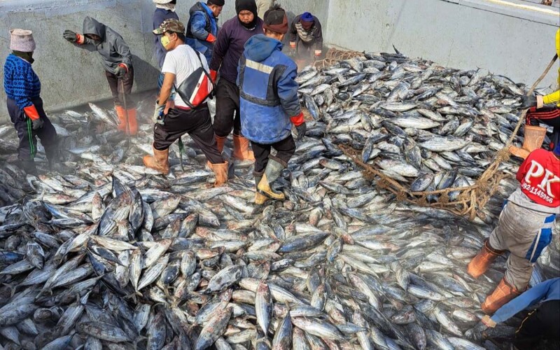 A group of men in the hold of a Thai tuna boat