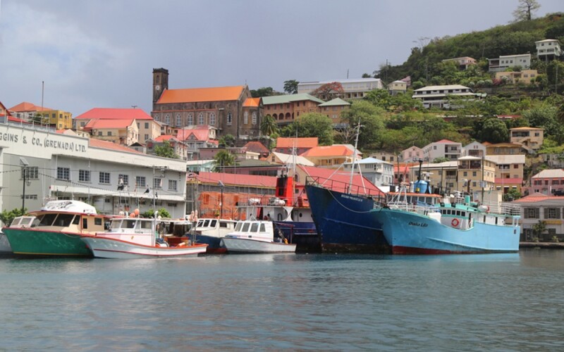 Fishing boats at a dock in Grenada
