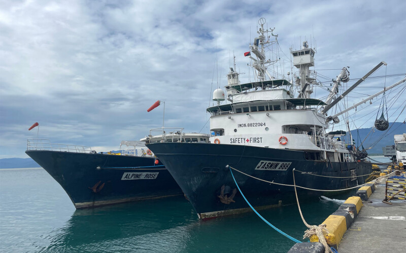 A pair of tuna purse-seine vessels in Papua New Guinea
