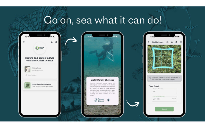 Screengrabs of the Ava Ocean app