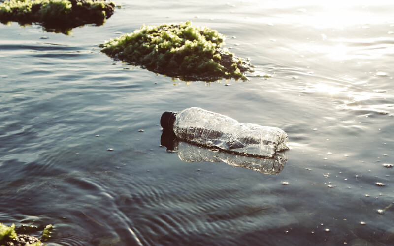 a plastic water bottle floating in water