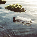 a plastic water bottle floating in water