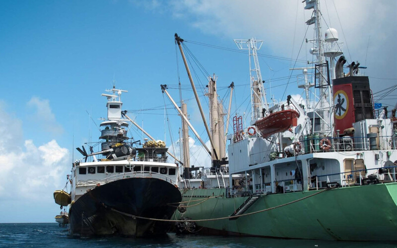 A tuna fishing boat transshipping its catch in the South Pacific