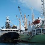 A tuna fishing boat transshipping its catch in the South Pacific