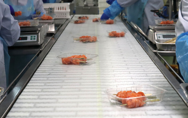 A Scottish salmon processing line