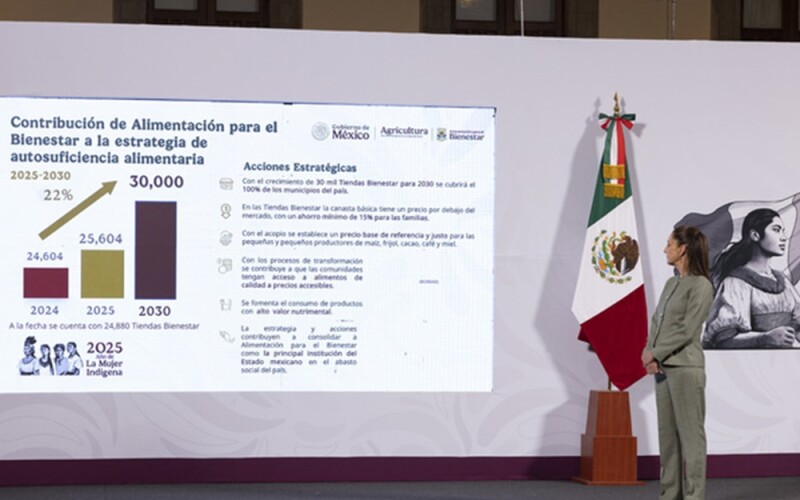 Mexican President Claudia Sheinbaum Pardo