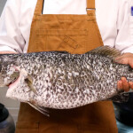 A chef holding a barramundi