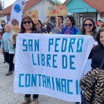Protesters against Salmones Antártica’s proposed salmon farm