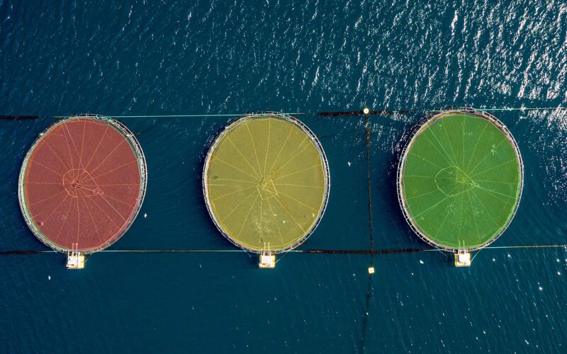 A top down view of aquaculture farms with traffic light colors
