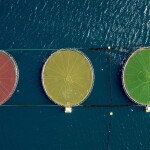 A top down view of aquaculture farms with traffic light colors