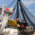 A tuna-fishing vessel in the Atlantic Ocean