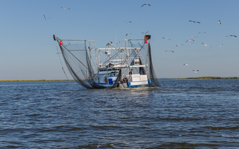A shrimping vessel on the water