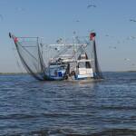A shrimping vessel on the water