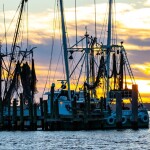 commercial shrimp vessels