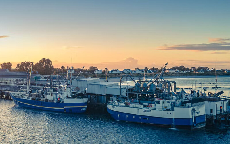 Oceana Group fishing vessels at a wharf