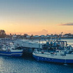 Oceana Group fishing vessels at a wharf