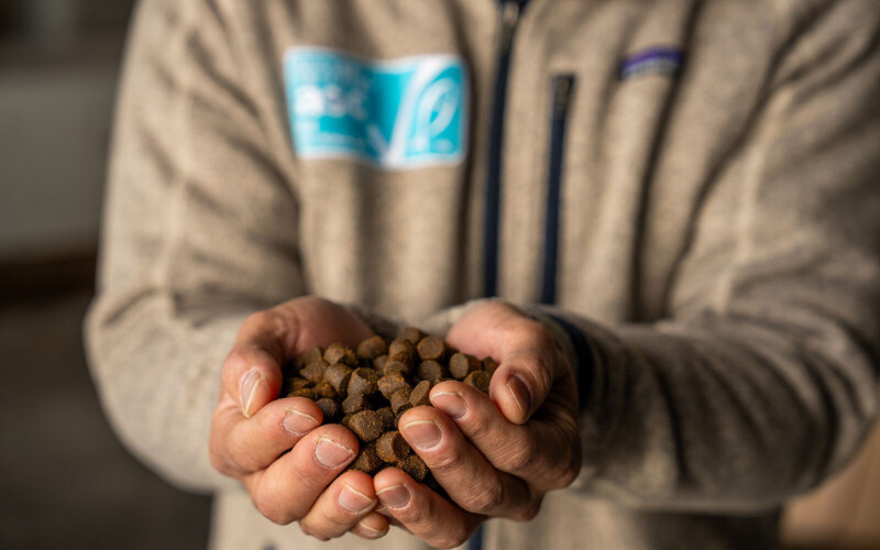 A person wearing an ASC sweatshirt holding feed
