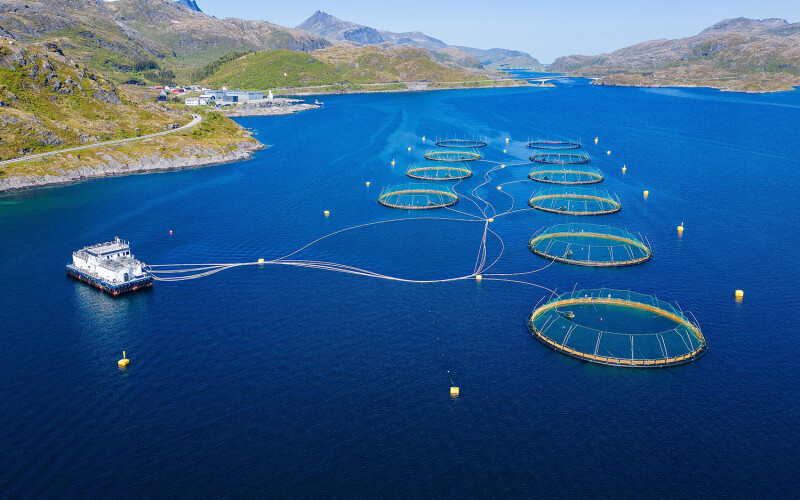 industrial salmon farm in Norway