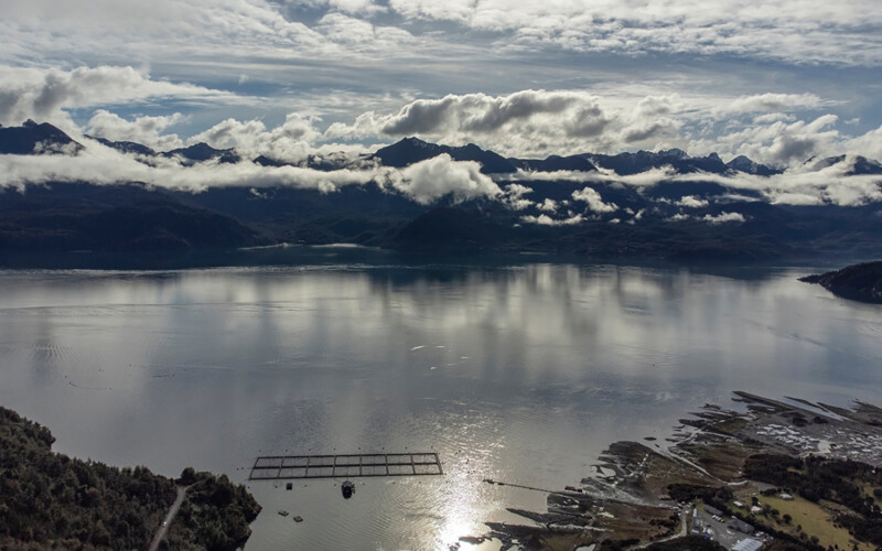 An aerial shot of salmon net pens in Chile