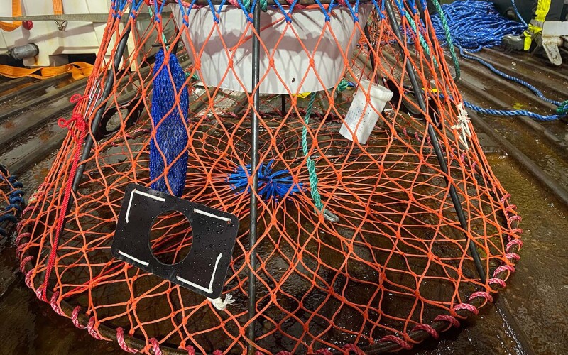 A Norwegian crab pot with an escape hole inside