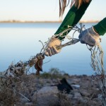 A person removing fishing waste from a beach