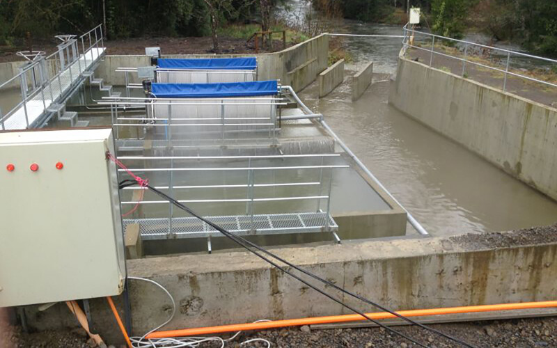 The Quimeyco fish-farming project