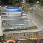 The Quimeyco fish-farming project